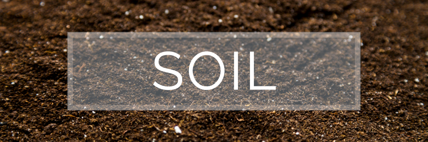 Soil