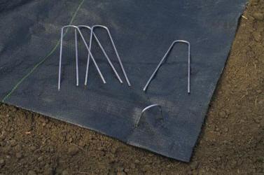 Easy Gardener Landscape Fabric Staples (10-Pack) - Cornerstone Landscape Supply