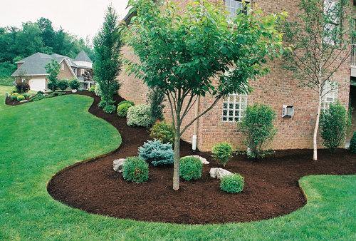 Chocolate Brown Dyed Mulch